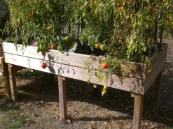 Camif Carrés De Potager><noscript><img width=