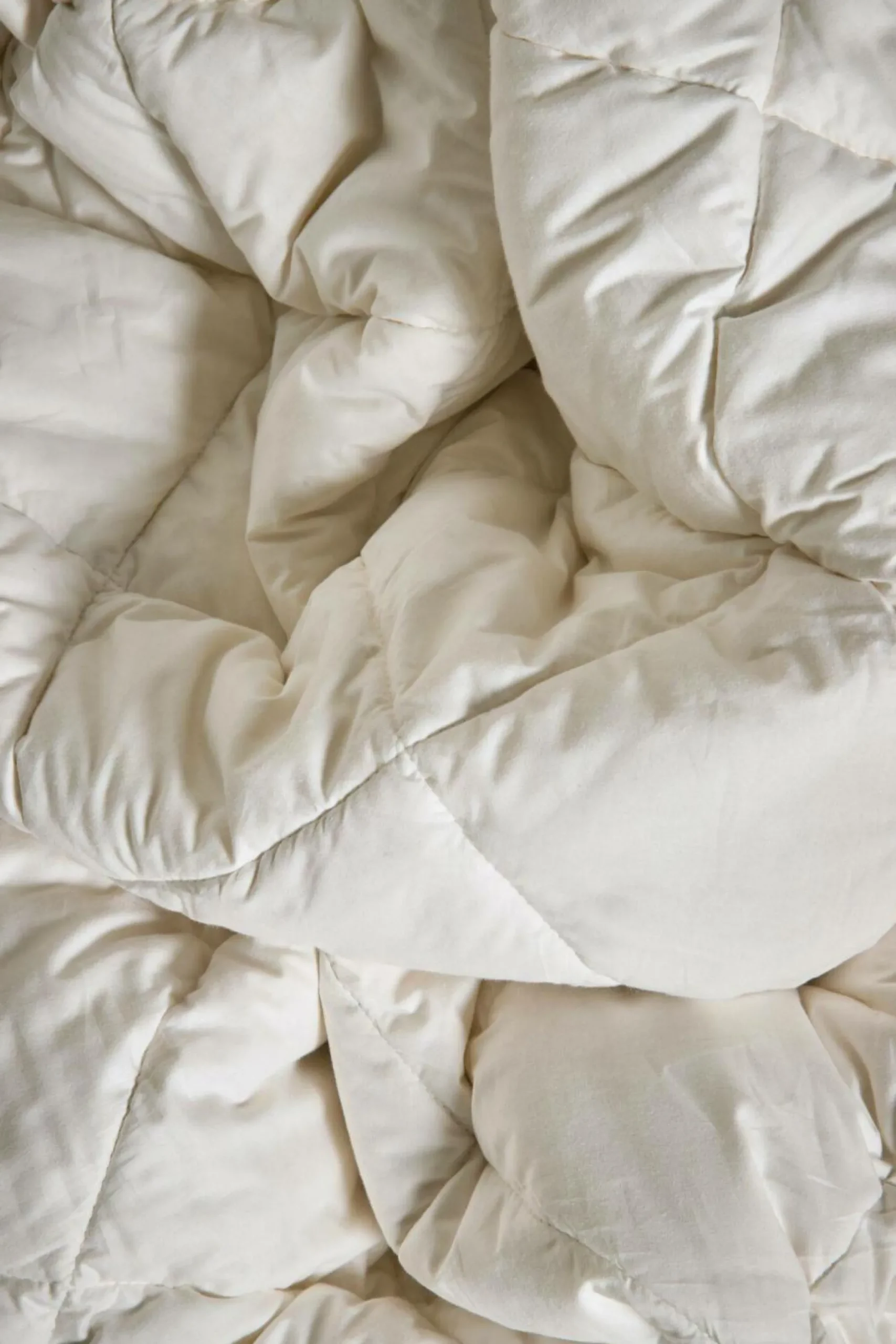 Camif Couettes|Couettes>Couette 4 saisons coton biologique Coline - 200 x 200 cm