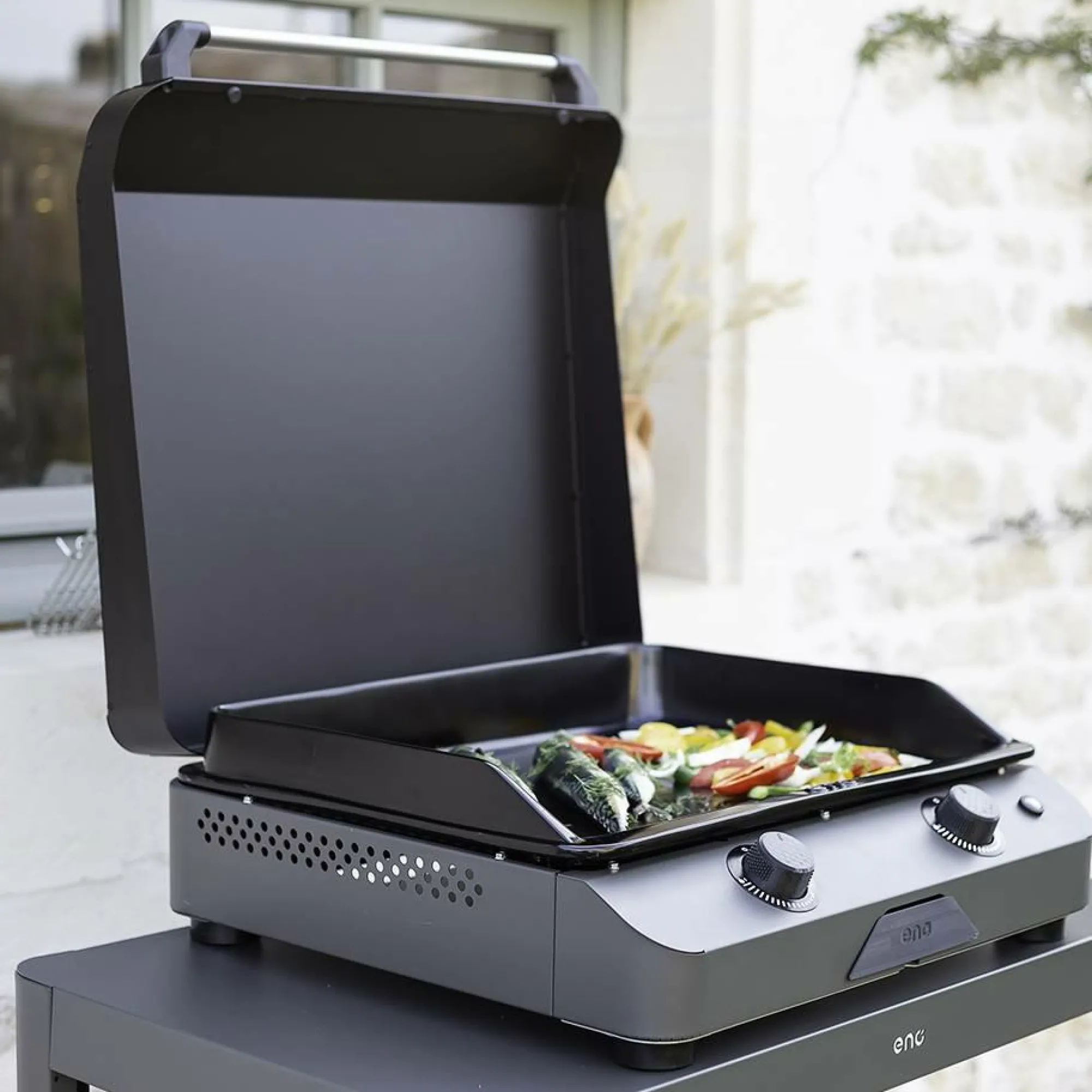 Camif Planchas>ENO Plancha Fusion Gaz 60 en Acier Gris Cargo